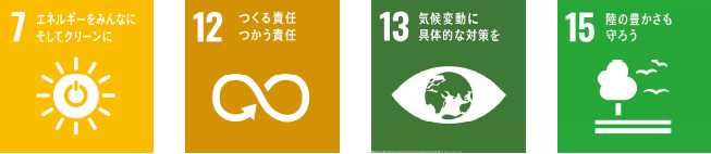 sdgs3.png